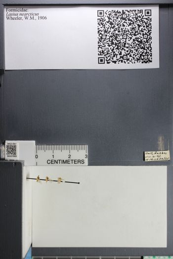 Media type: image;   Entomology 557969